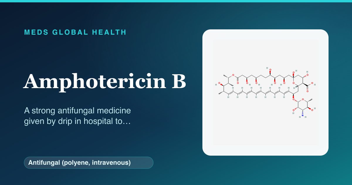 Amphotericin B (Antifungal (polyene, intravenous)) — Meds Global Health reference card with 2D molecular structure
